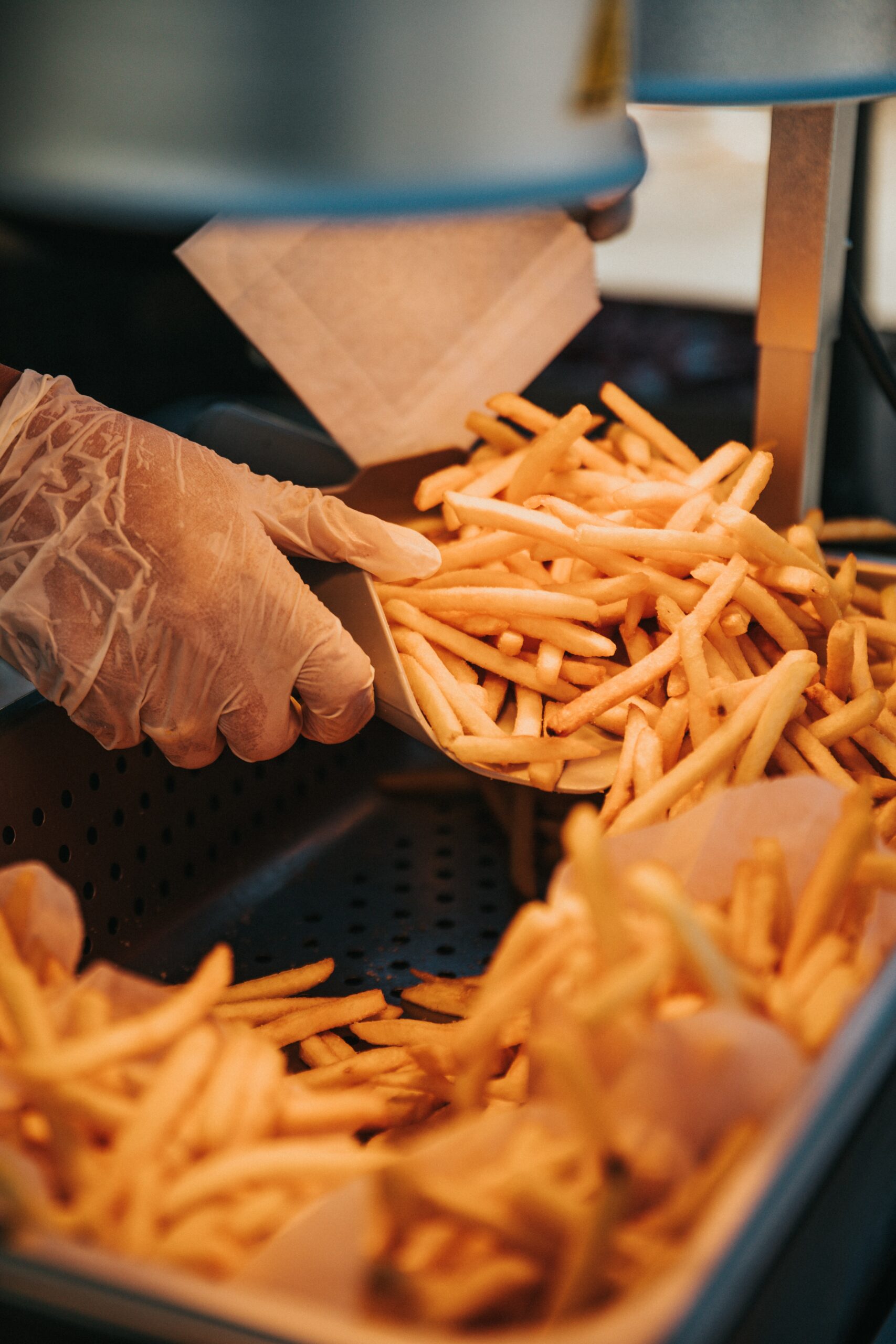 Frites, baraques à frites et friteries.