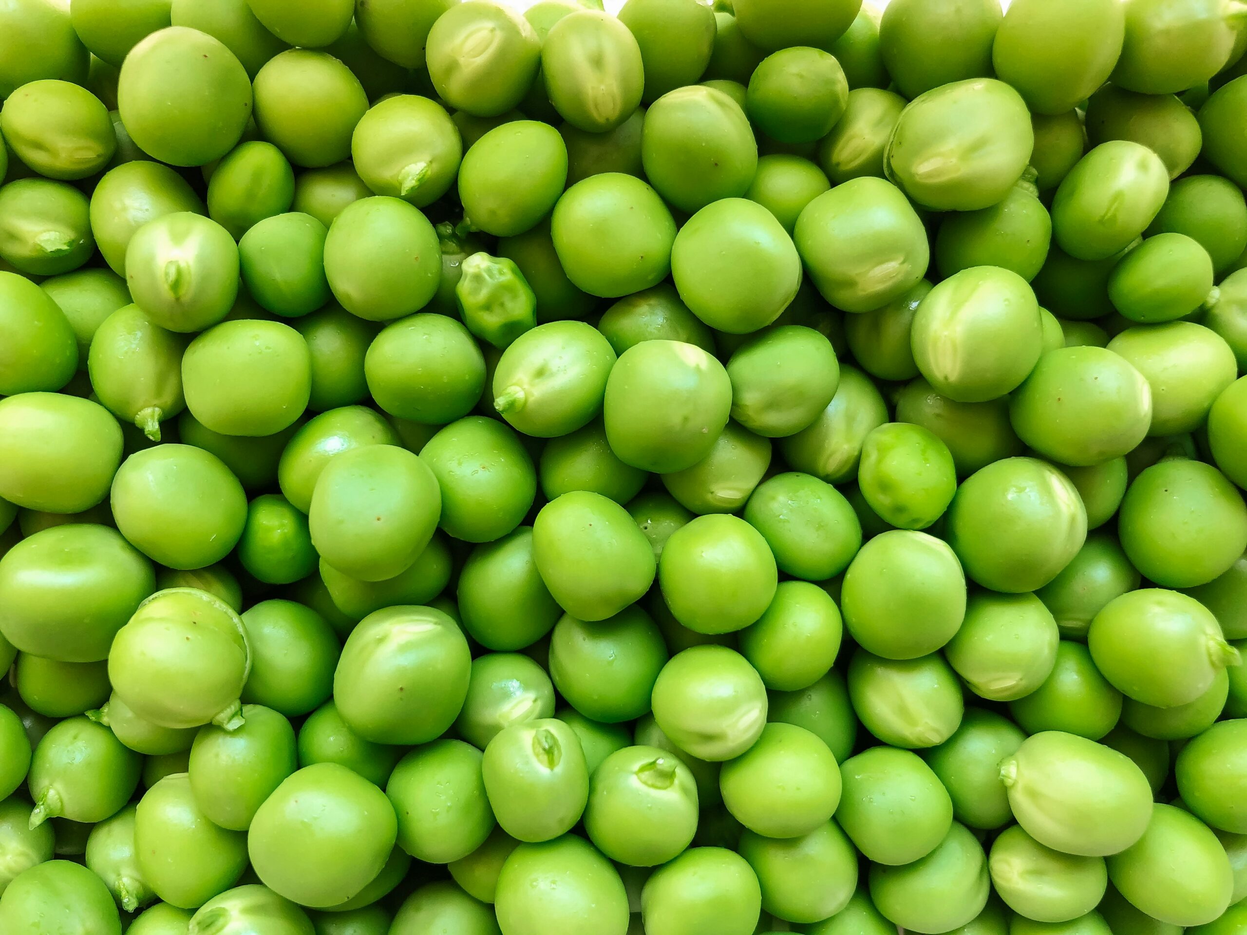 L’art de la cuisine et la cuisine de l’art: le petit pois
