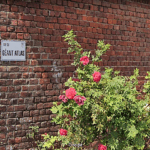 GEANT ATLAS. Petit Fernand deviendra Géant…