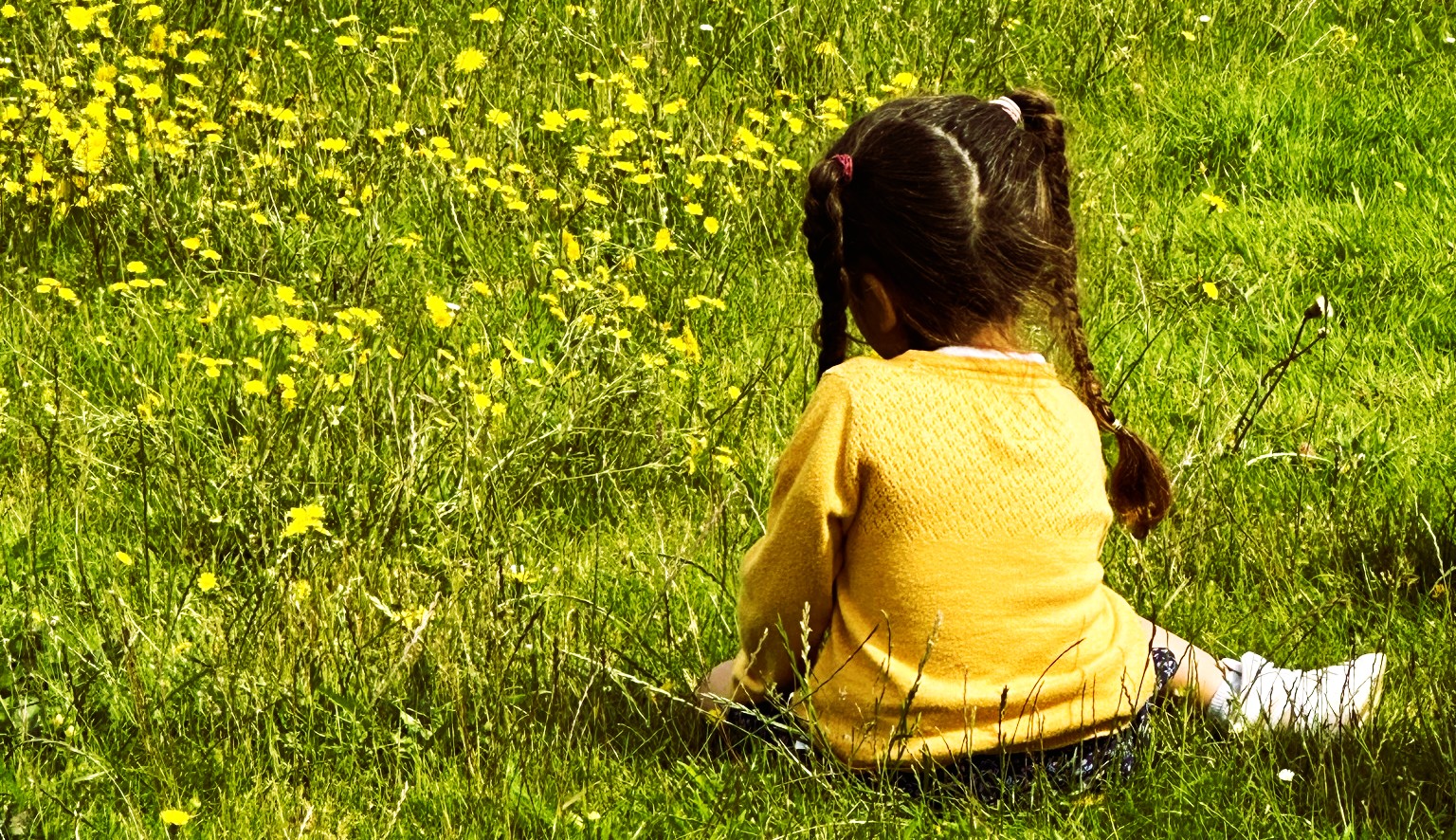 Cultivons notre jardin des Célébrités…