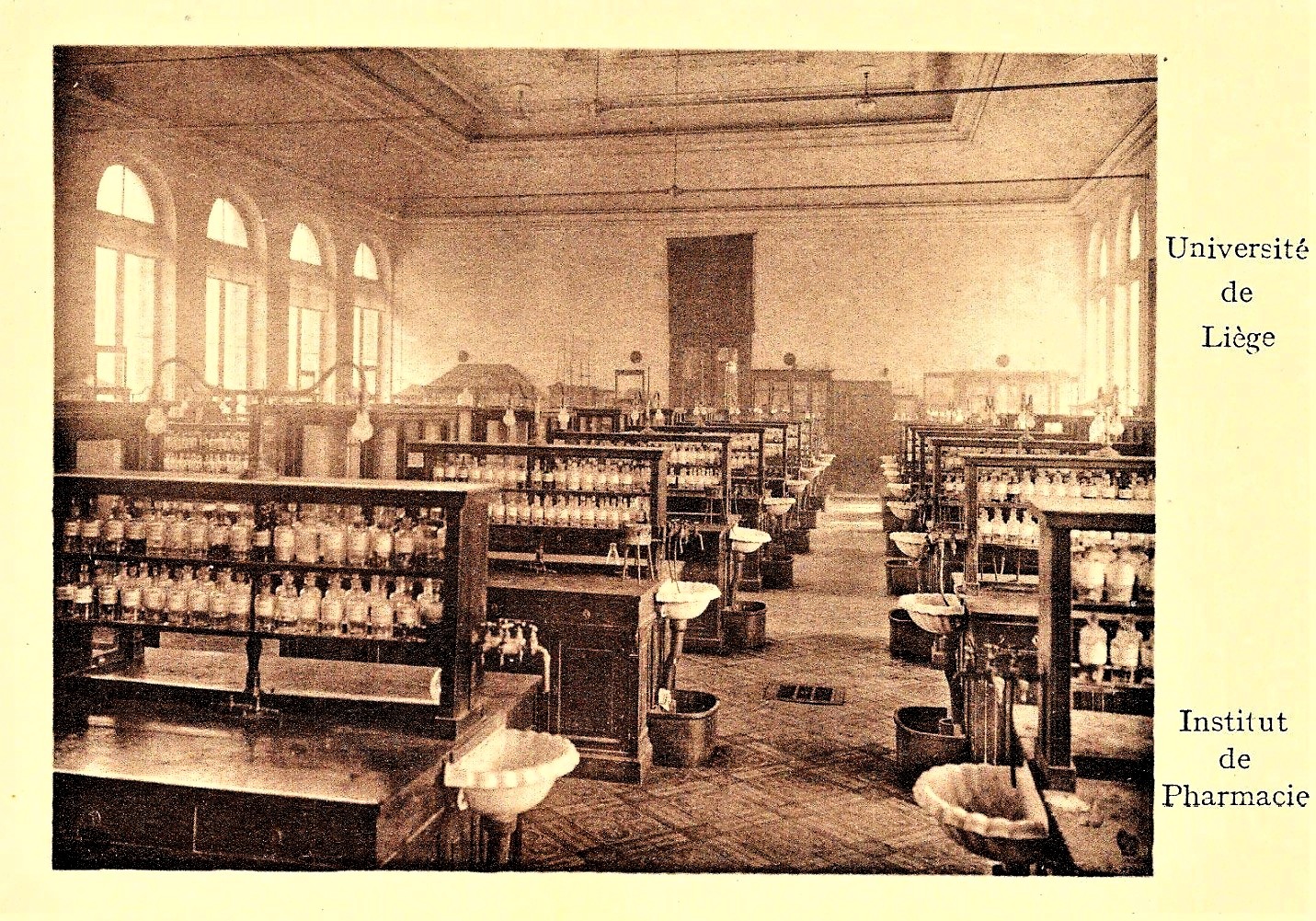 RADEMACKERS à Liège ou POPELIN à Bruxelles. Femmes, études universitaires et professions scientifiques.